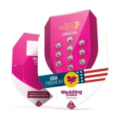 Wedding Crasher fem (Royal Queen Seeds), Испания
