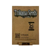 Critical Plus Auto autofem (Trikoma Seeds), Испания