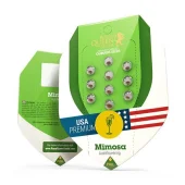 Mimosa Auto autofem (Royal Queen Seeds), Испания