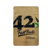 Original Auto Northern Lights fem (FastBuds), Америка