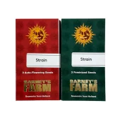 Girl Scout Cookies fem (Barney's Farm), Нидерланды
