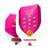 Bubble Kush Auto autofem (Royal Queen Seeds), Испания