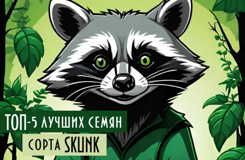 Название картинки