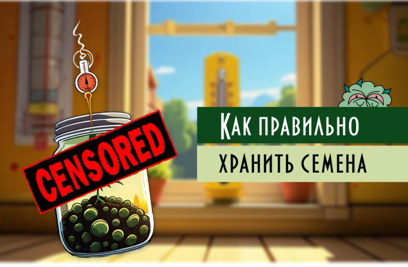 Название картинки